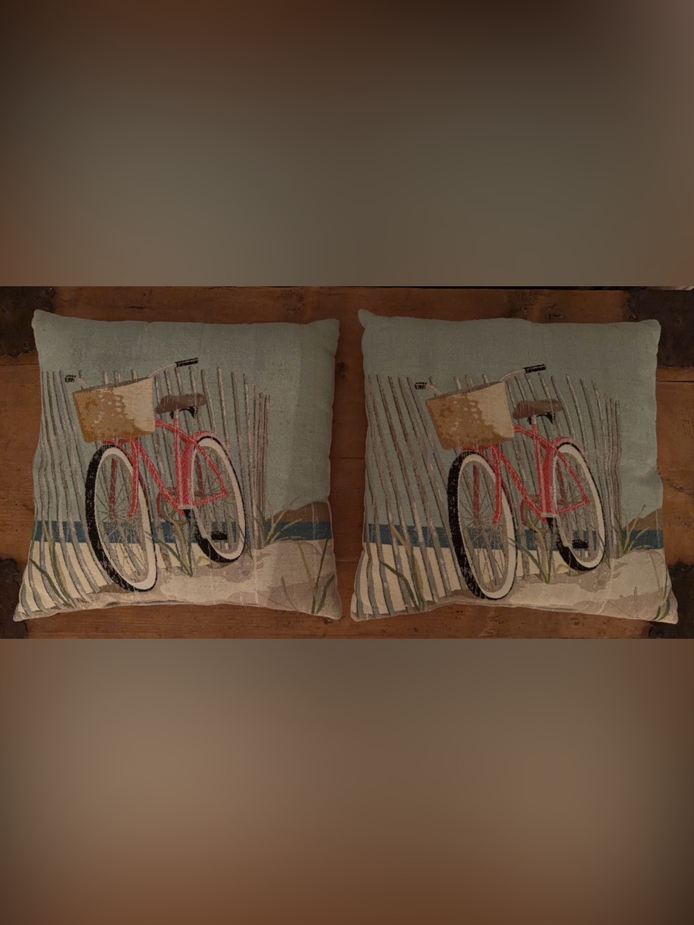 Decorative Coastal Bicycle Throw Pillow Pair - Light Blue